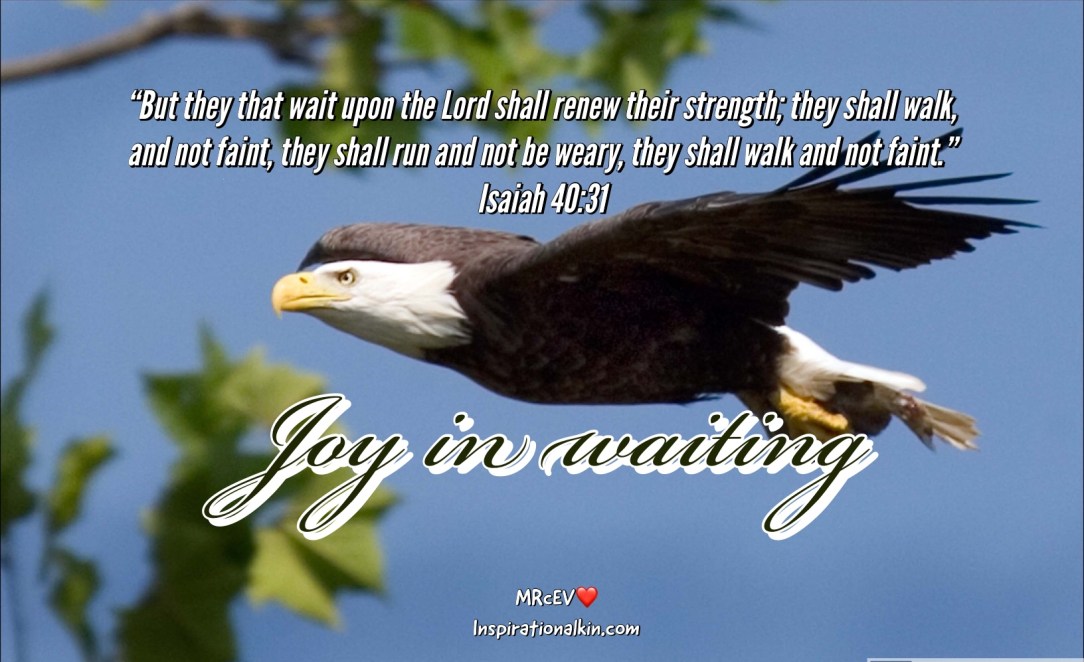 073E473B-B3E5-491A-822D-CCCF76AAE05F