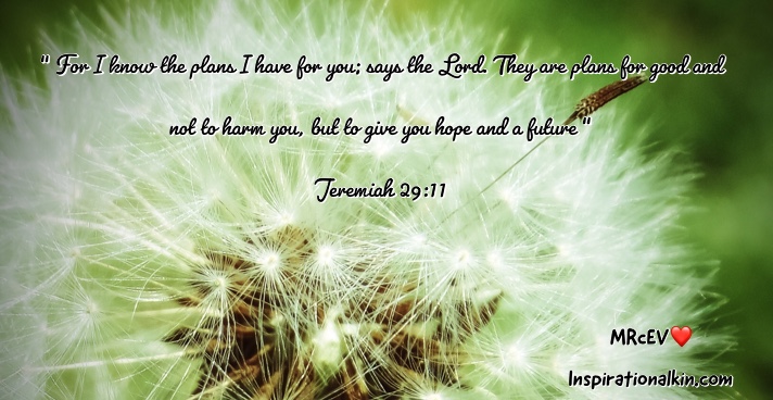 123B0138-9A2D-49AF-953A-AFC05122DD81 2