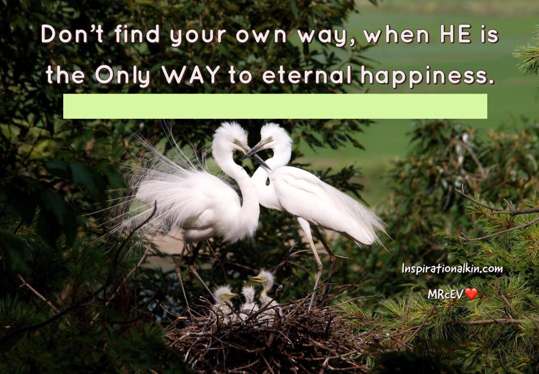 82291858_2871677999556093_7054110400698122240_n