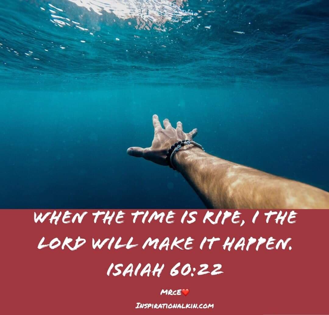 89100280_2257157777923052_8441435715488710656_n